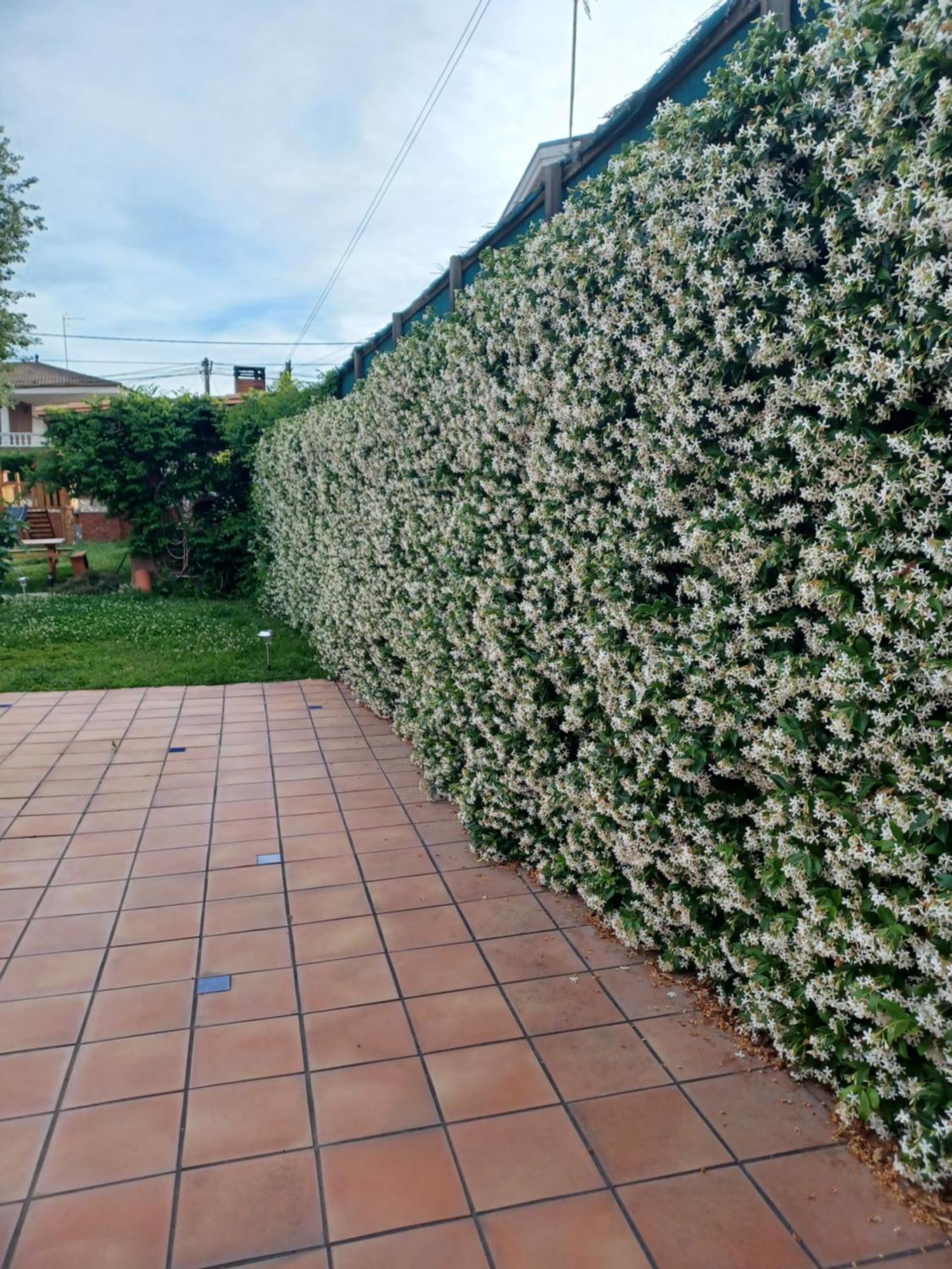 Piscina De Sal Barbacoa Wifi, Parking Gratis, 3 Min Pga Casa El Roble Villa Girona Ngoại thất bức ảnh